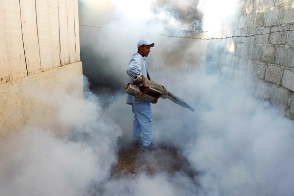 A health ministry worker fumigates a house to kill mosquitoes during a campaign against dengue and chikungunya and to prevent Zika infection in Managua, Nicaragua October 27,2016. REUTERS/Oswaldo Riva ...