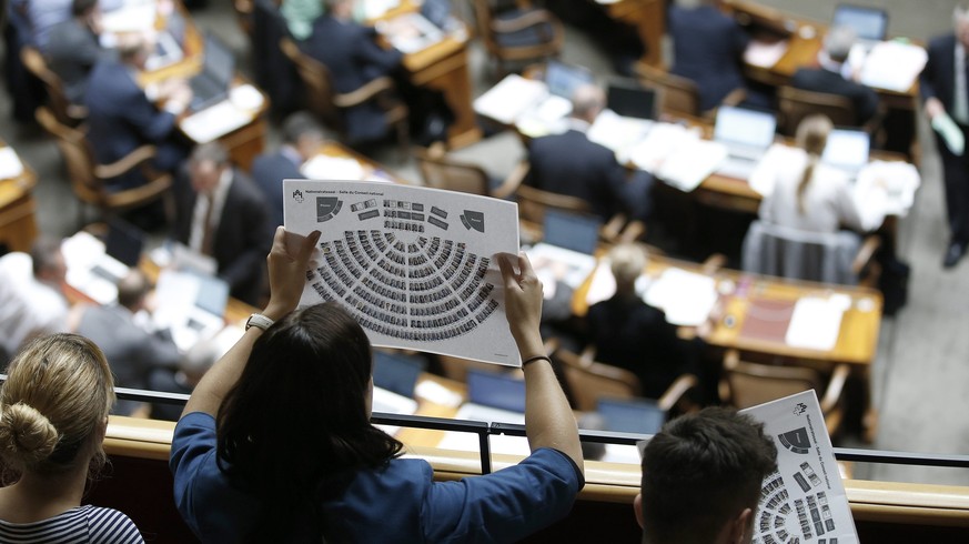 Keine Lobby verteilt im Parlament so viele Ämtlis wie die Hilfswerke und Nonprofits