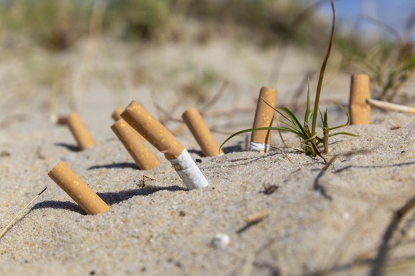 Immer mehr Orte an Nord- und Ostsee verbieten das Rauchen am Strand mit messbarem Erfolg. Ein Rauchverbot an den Str�nden von Sylt gibt es nicht, stattdessen wird der Schwerpunkt auf die Strandreinigu ...