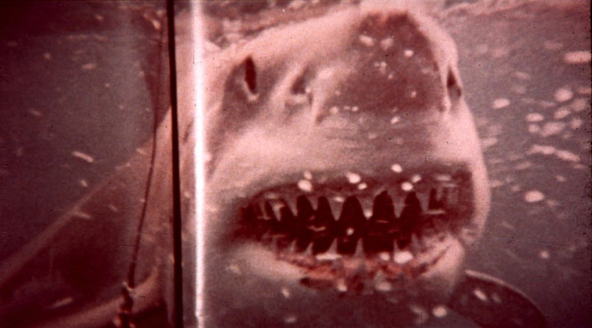 Kino. Der weisse Hai, (JAWS) USA, 1974, Regie: Steven Spielberg, Stichwort: Zähne. Bestie. (Photo by FilmPublicityArchive/United Archives via Getty Images)