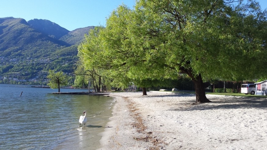 Camping Lago Maggiore