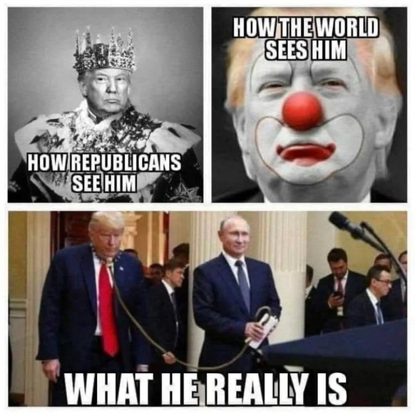 Trump Meme