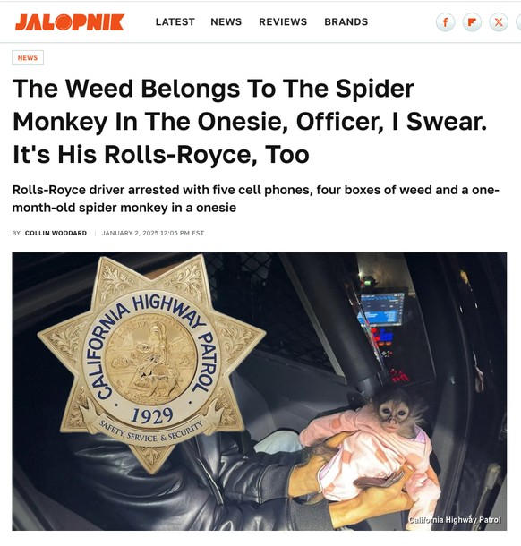 Lokalnachrichten-Schlagzeiulen. Local news
https://www.jalopnik.com/the-weed-belongs-to-the-spider-monkey-in-the-onesie-of-1851731295/