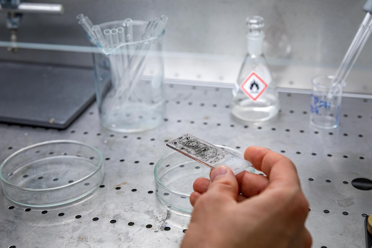 Greenpeace has uncovered the presence of microplastics in the droppings of wild animals in Switzerland. Collected in different parts of the country, the droppings were identified and then analysed in ...