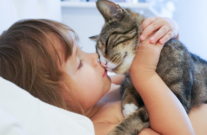 6 Beweise, dass deine Katze ein Teil deiner Familie ist