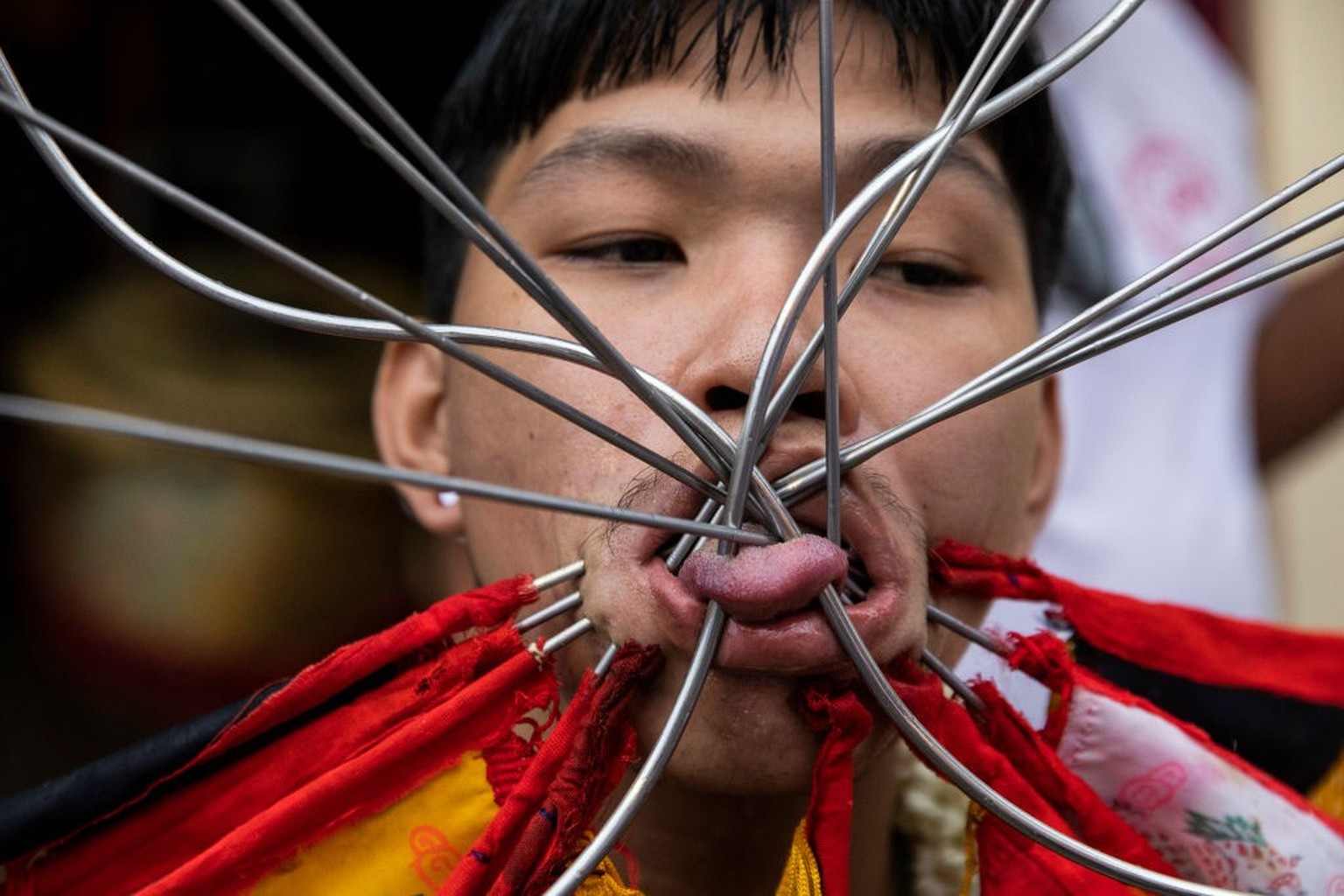 PHUKET, THAILAND - OCTOBER 01: (EDITORS NOTE: Image contains graphic content) Thai devotees pierced with long needles during a ritual at the Bang Neow Shrine on October 1, 2022 in Phuket, Thailand. Th ...