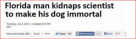 «Florida-Mann kidnappt Wissenschaftler, um seinen Hund unsterblich zu machen.»