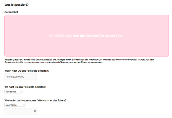 So sieht der Anzeige-Generator von netzpigcock.ch aus.
