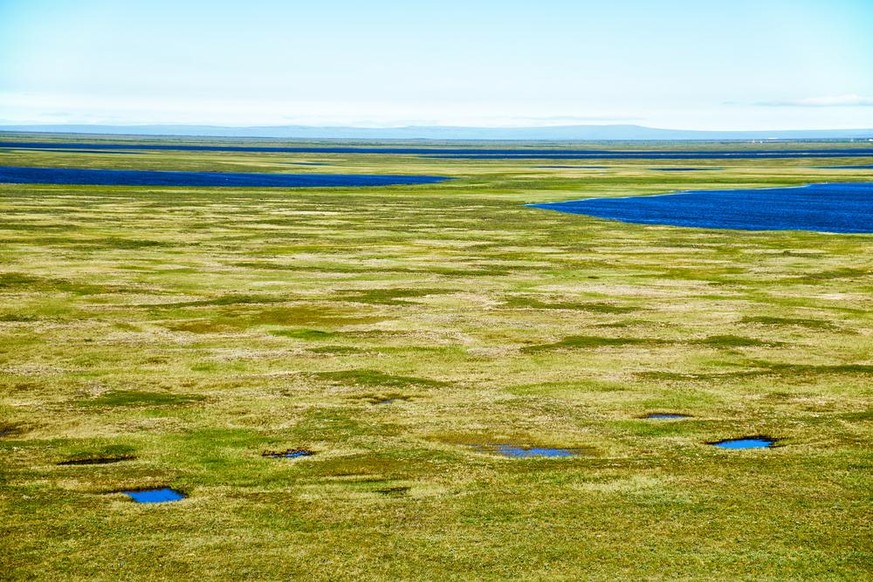 Folge des Tauens im Permafrostboden: Thermokarst-Seen in der Tundra.