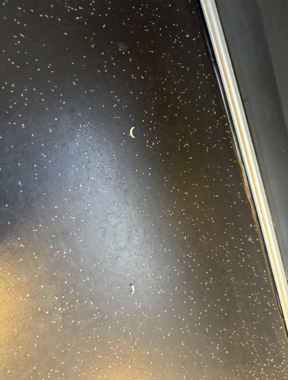 Was im Zug nervt: Nägel schneiden