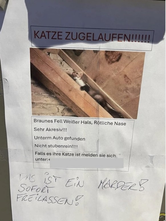 Die lustigsten Fails der Woche: Akresiver marder ist eigentlich eine Katze