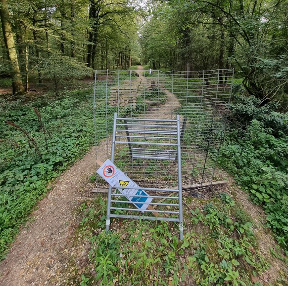 Eine Barrikade im Hambacher Forst.