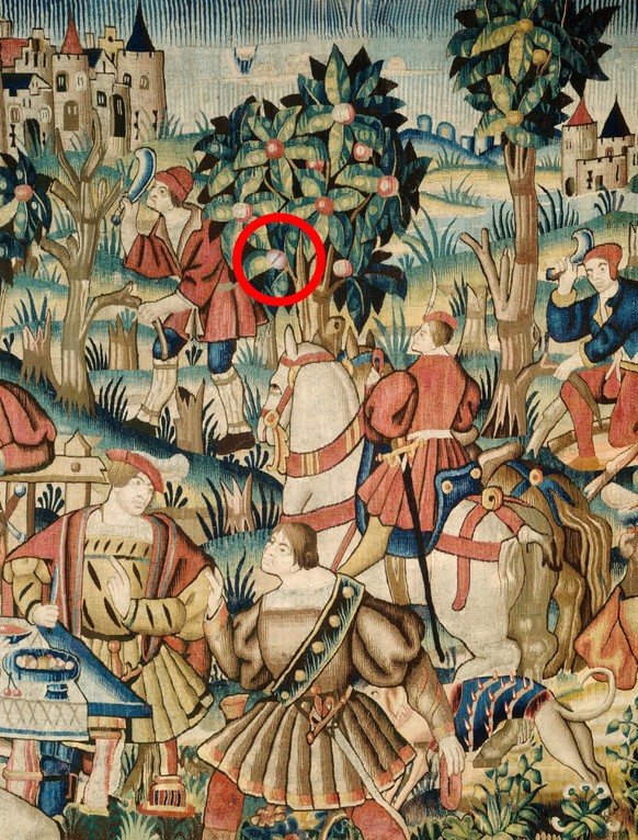 second image