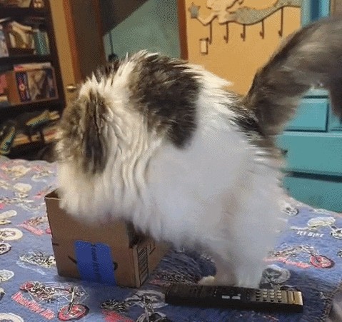 Animiertes GIF