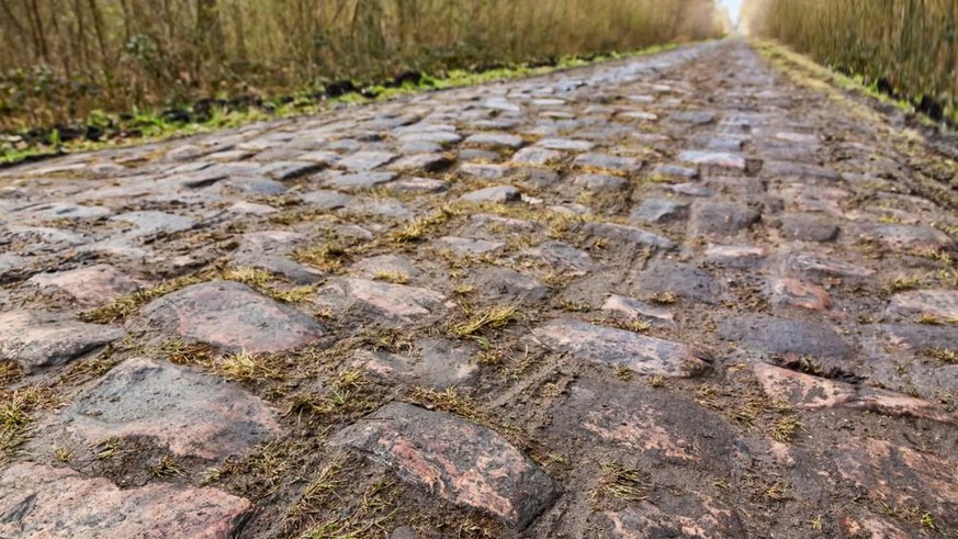 Die berühmte Steinstraße vom Arenberg (Pave d&#039;Arenberg). Jedes Jahr ist es Teil der Route von Paris Roubaix eine der bekanntesten ein Tag Fahrrad-Rennen. Selektiver Fokus.