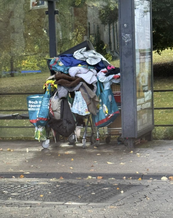 Gittertiere auf Reddit: Lustige Einkaufswagen/Einkaufswägelchen