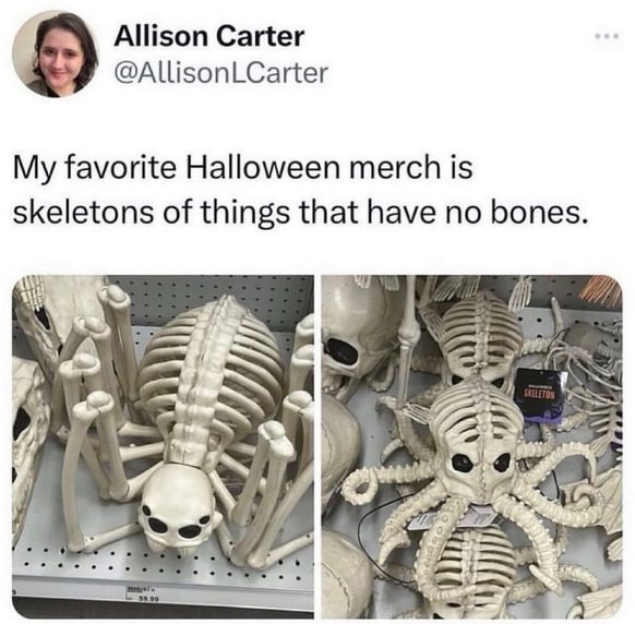 Faildienstag.: Lustige Skelette von Tieren, die gar keine Knochen haben