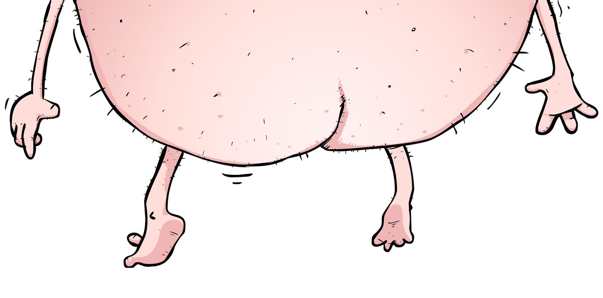 Nein, das ist nicht der richtige Arsch. Aber so würde er in etwa als Illustration aussehen.