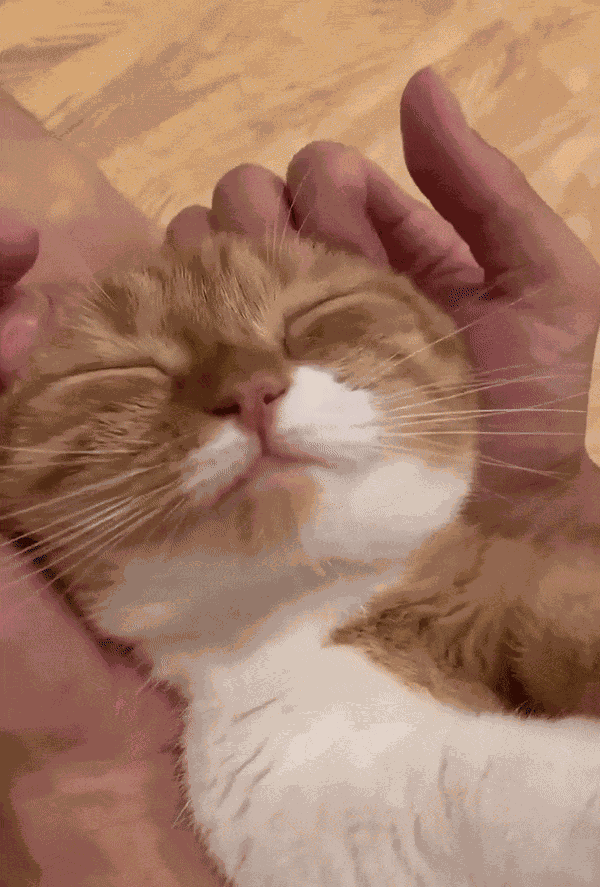 Animiertes GIF
