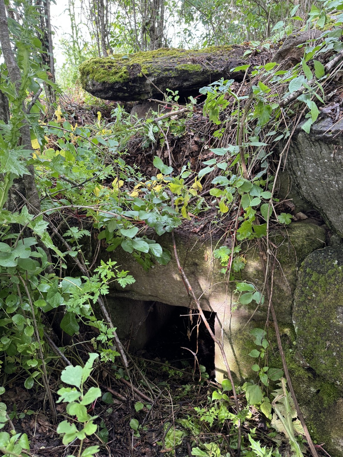 https://sabapca.cultura.gov.it/notizie-ed-eventi/news/bortigali-scoperta-una-tomba-dei-giganti-nellarea-archeologica-di-carrarzu-iddia/
Sardinien , Carrarzu Iddia bei Bortigali , Grab der Riesen