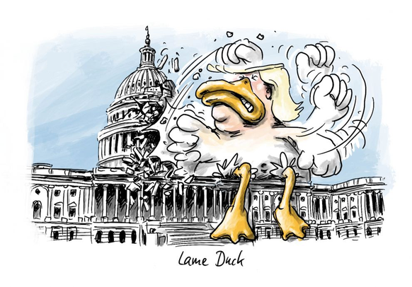 Biden nach Trump-Mob: «Ich habe keine Angst, den Eid draussen abzulegen»\nAmtsenthebung einer lame duck.
Donald spricht inzwischen schon von einer duck-hunt.