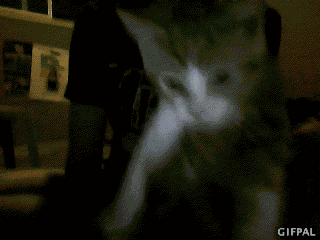 Animiertes GIF