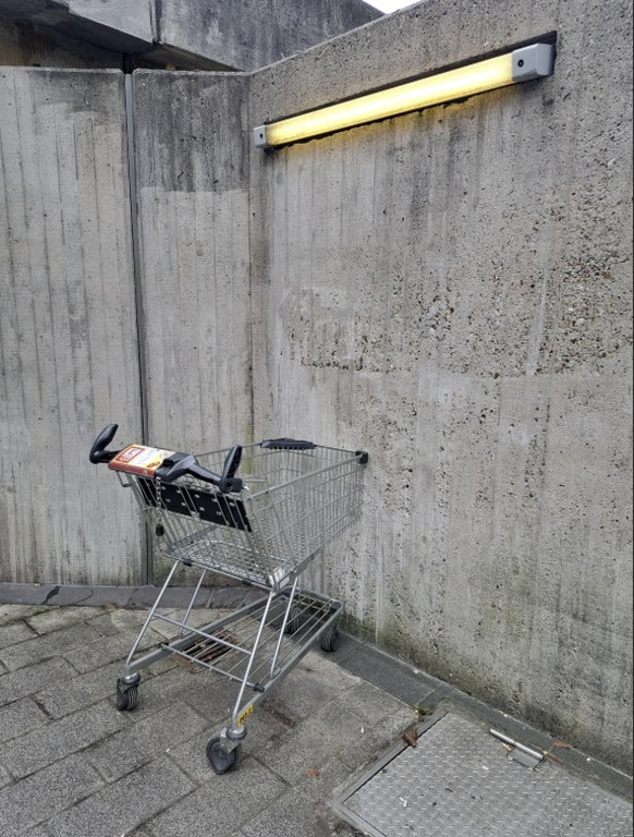 Gittertiere: Lustiger Subreddit zu Einkaufswägeli