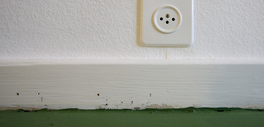 Electric socket in an empty apartment in Zurich, Switzerland, pictured on December 9, 2009. (KEYSTONE/Alessandro Della Bella)

Steckdose in einer leeren Wohnung in Zuerich, Schweiz, aufgenommen am 9.  ...