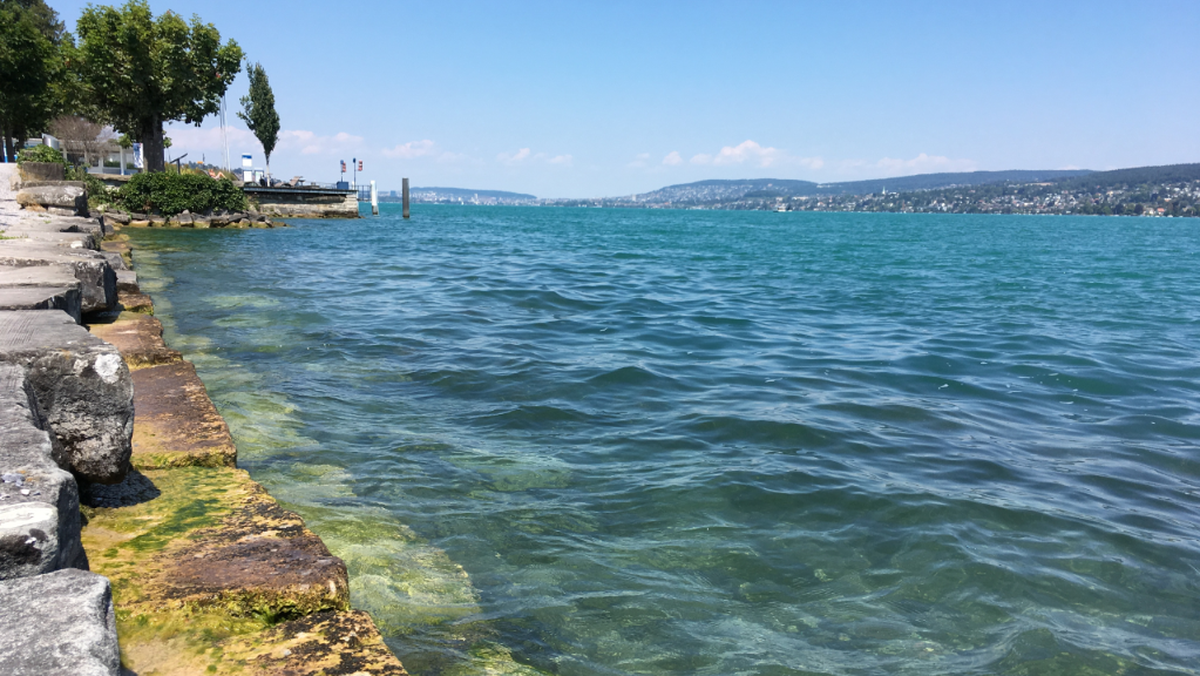 Wasserknappheit Pegel Zürichsee Säntisersee