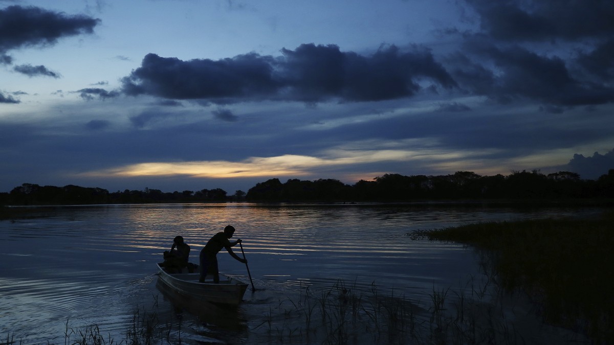 W-lder-auf-indigenem-Land-senken-Krankheitsrisiko-im-Amazonas