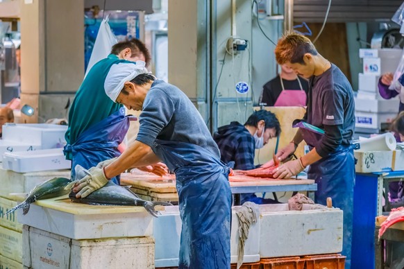 OSAKA, JAPAN - OCTOBER 24: Osaka Central Wholesale Market in Osaka, Japan on October 24, 2014. Unidentified japanese fish seller cut the tuna in sizes before selling to customers