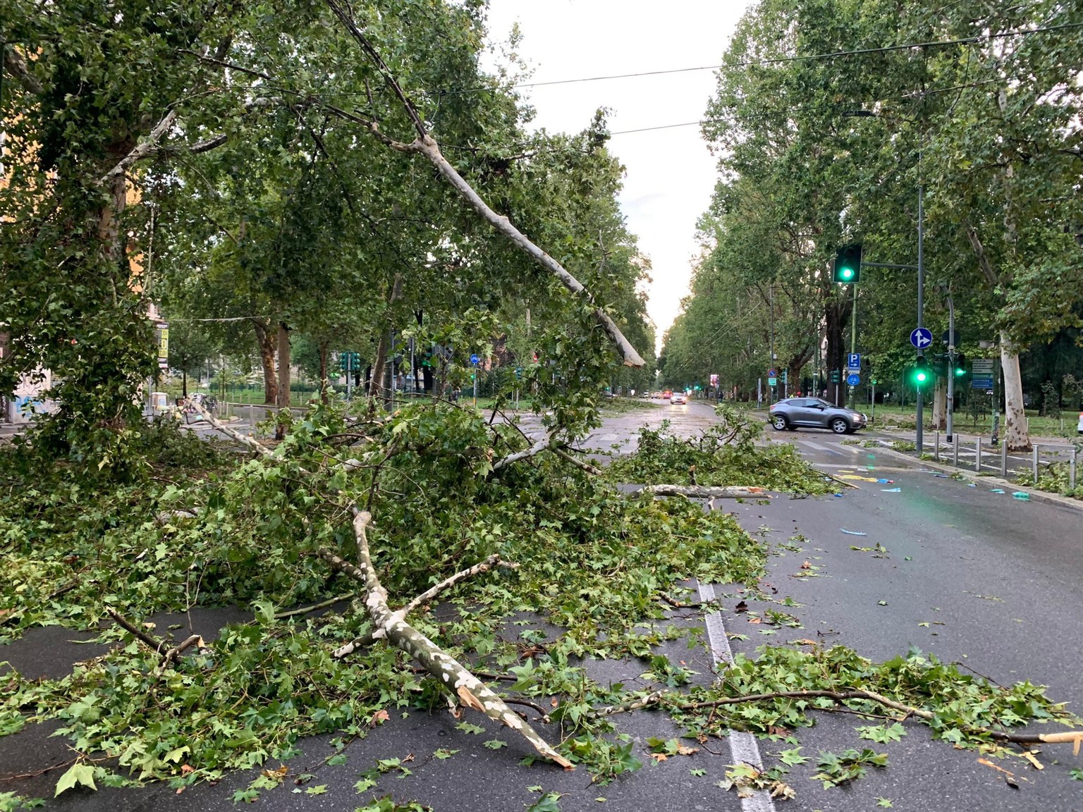 epa10767081 The aftermath of a storm accompanied by continuous lightning discharges and sudden gusts of wind, in Milan, Italy, July 25, 2023. EPA/Luca Pinardi