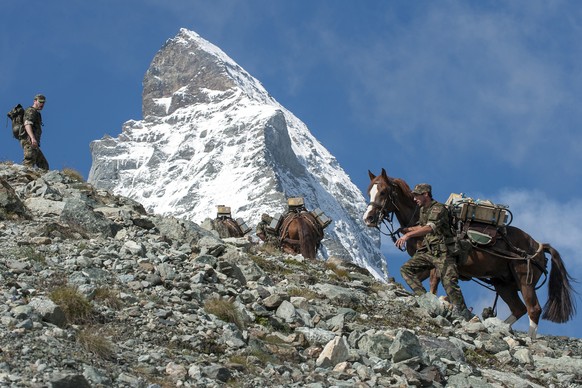 ZUR SOMMERSESSION DER EIDGENOESSISCHEN RAETE VOM 29. MAI BIS ZUM 16. JUNI 2017 STELLEN WIR IHNEN FOLGENDES BILDMATERIAL ZUR VERFUEGUNG - Horses of the Swiss Armed Forces transport tiles of the Schweiz ...