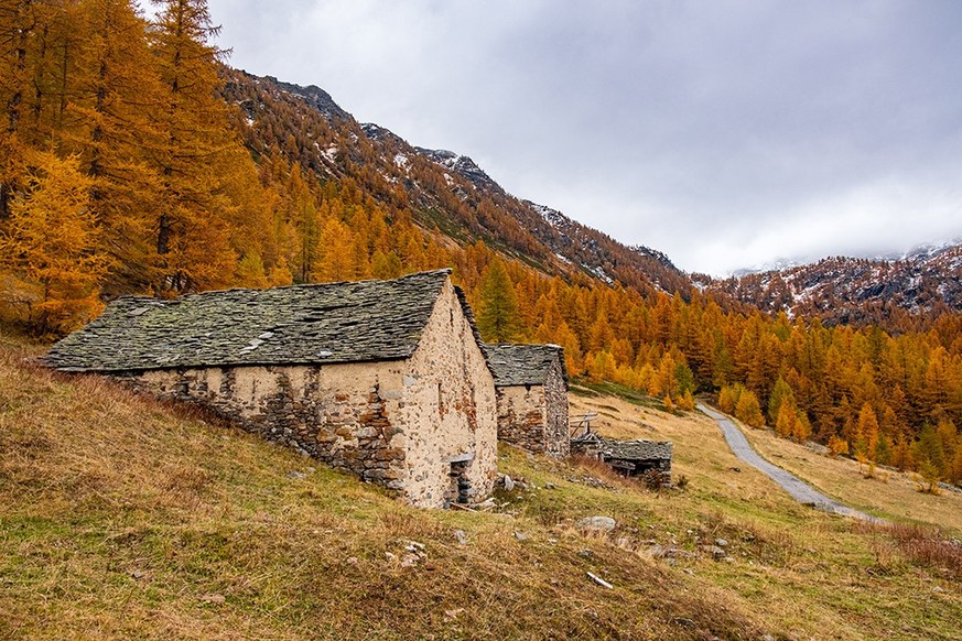 Herbstwanderung an der schweiz-italienischen Grenze Zwischbgerngen- und Bognancotal Monscerapass von Waira her Tschawinersee Rauszeit Lärchen