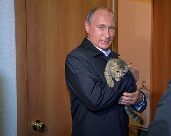 Wir erinnern uns: Das Kreml-Bild von Putin mit einer Katze.