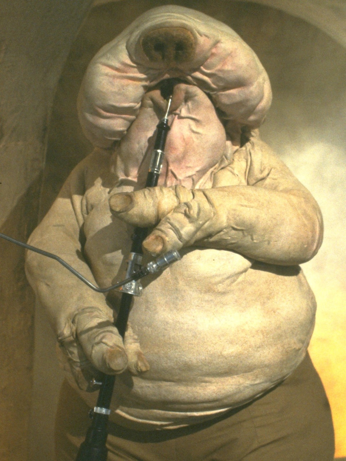 Droopy McCool Star Wars return of the jedi https://starwars.fandom.com/wiki/Droopy_McCool