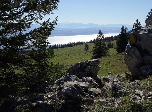 Herbsttäler Rauszeit Vallee de la Sagne Blick zum Neuenburgersee