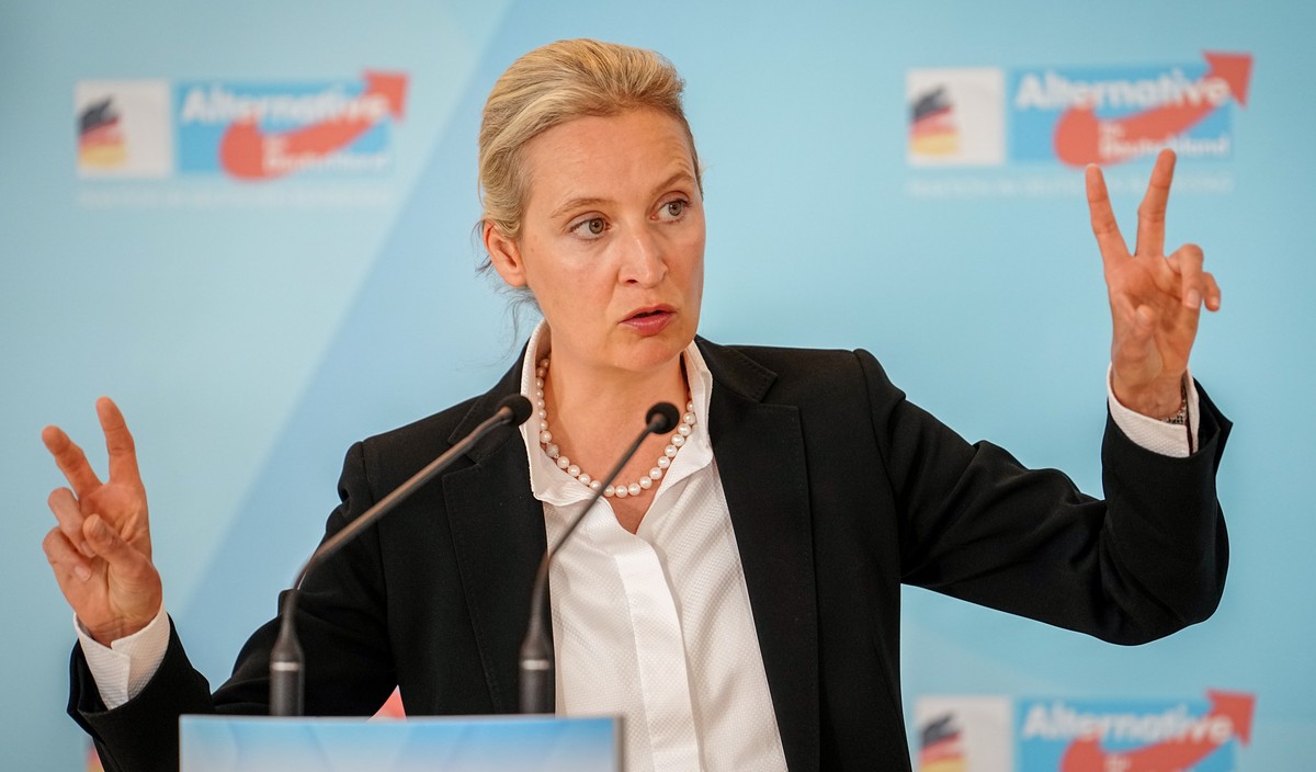 25.06.2024, Berlin: Alice Weidel, Partei- und Fraktionsvorsitzende der AfD, gibt zu Beginn der Fraktionssitzung ihrer Partei ein Pressestatement. Foto: Kay Nietfeld/dpa +++ dpa-Bildfunk +++
