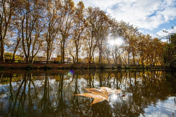 12.11.2019, Baden-Württemberg, Tübingen: Die Sonne strahlt durch eine Reihe herbstlich verfärbter Bäume am Neckar-Ufer in Tübingen. Foto: Tom Weller/dpa +++ dpa-Bildfunk +++