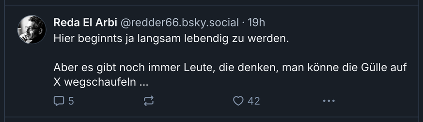 Screenshot zu Bluesky