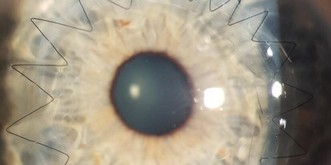 17 GIFs & Bilder mit geilem Science Porn für den spitzen Wissenschaftler in dir