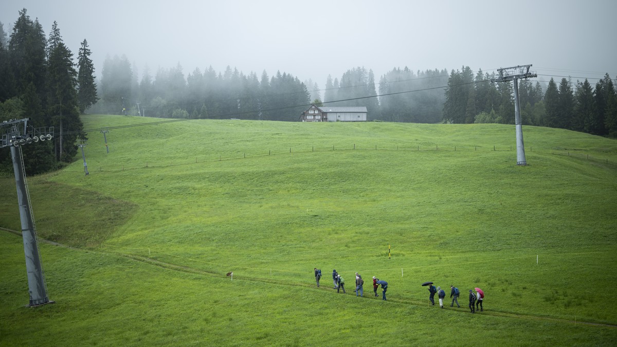 Warum-die-Schweizer-Bauern-bei-diesem-Regenwetter-gl-cklich-sind