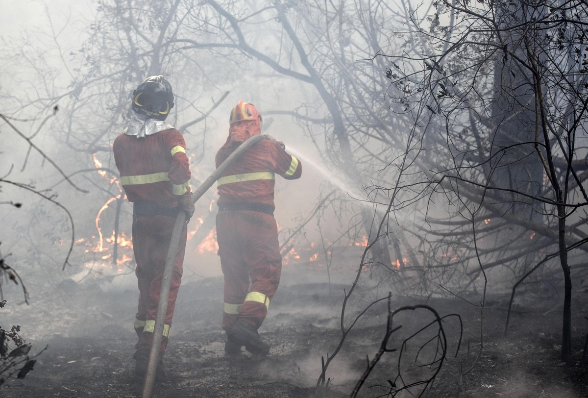 epa06093373 Firemen and Civil Protection personnel work to extinguish a fire in the pine forest of Castelfusano in Ostia near Rome, Italy, 17 July 2017. Homes in Rome and Naples have been evacuated as ...