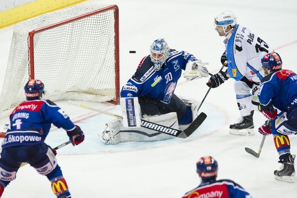 Die ZSC Lions spielen ihr typisches «November-Hockey» schon Ende Oktober.