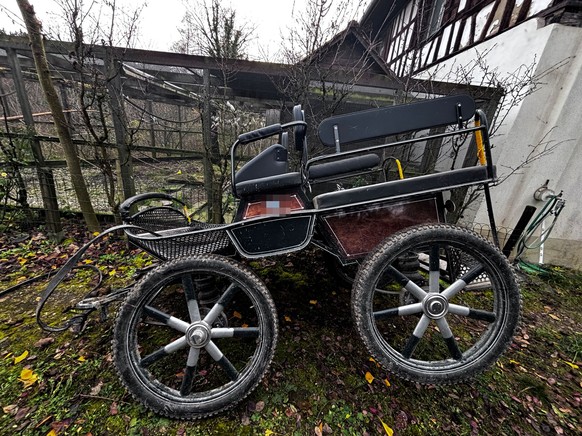 Amlikon-Bissegg Pferdekutsche