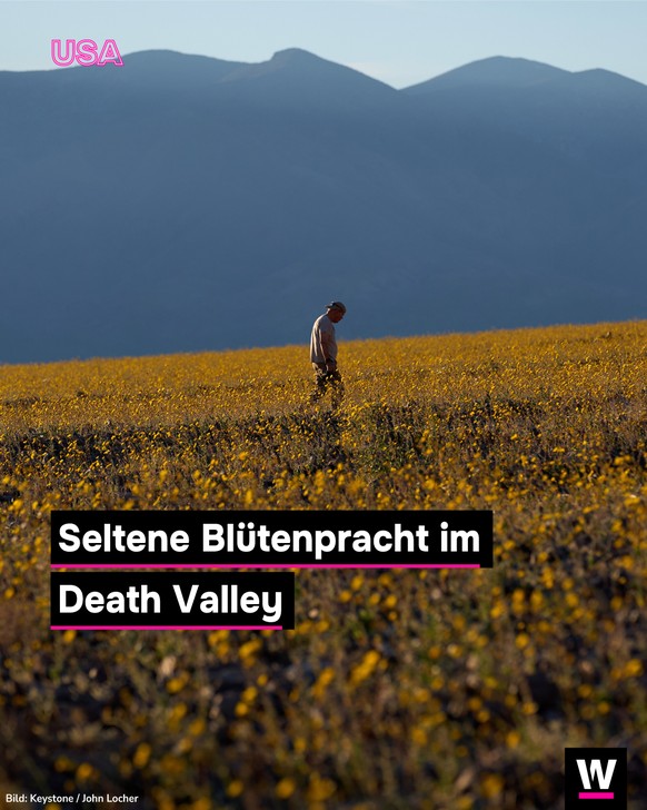 <p>Das Death Valley ist eine der heissesten und trockensten Wüsten der Welt.</p>