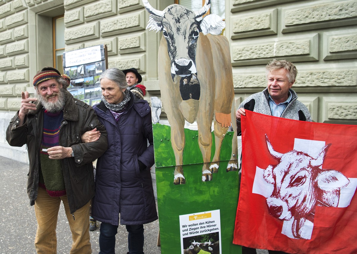 Armin Capaul und seine Frau Claudia, von links, Initianten der Hornkuhinitiative, und weitere Aktivisten bei der Einreichung der Volksinitiative "Fuer die Wuerde der landwirtschaftlichen Nutztier ...
