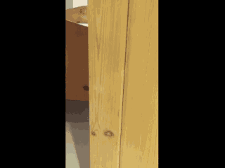 Animiertes GIF