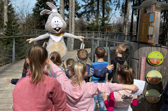 Mogelsberg Baumwipfelpfad Osterhase Ostern