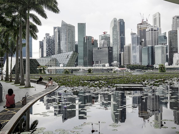 Die Handelsnation Singapur hat schwer unter der Corona-Pandemie gelitten. (Archivbild)